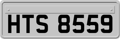 HTS8559