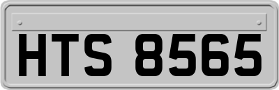 HTS8565