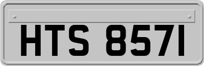 HTS8571
