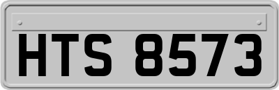 HTS8573