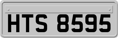 HTS8595