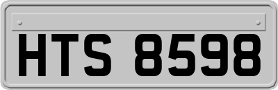HTS8598