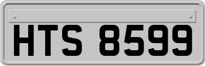 HTS8599