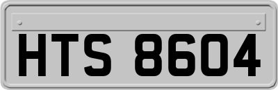 HTS8604