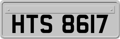 HTS8617