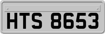 HTS8653