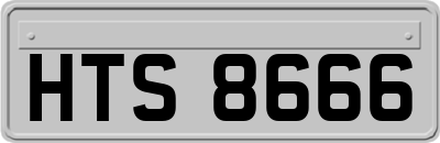 HTS8666