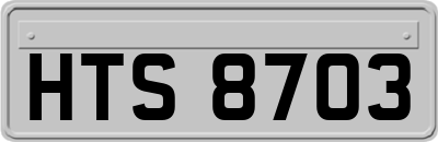 HTS8703