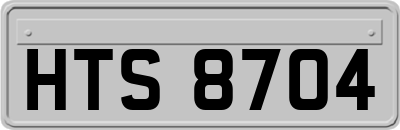 HTS8704