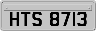 HTS8713