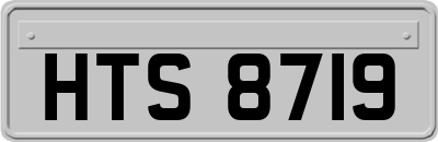 HTS8719