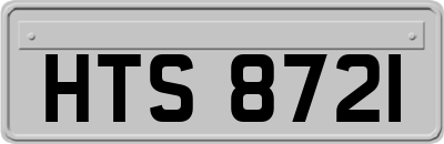 HTS8721
