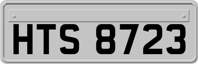 HTS8723