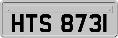 HTS8731