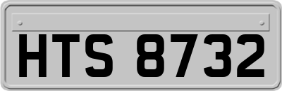 HTS8732