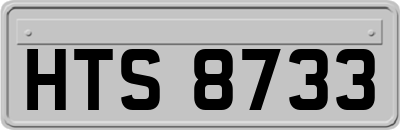 HTS8733