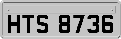 HTS8736