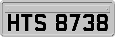 HTS8738