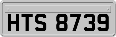 HTS8739