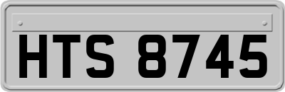 HTS8745