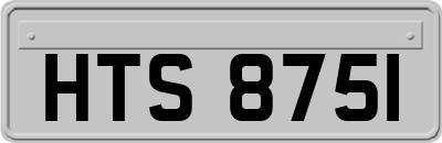 HTS8751