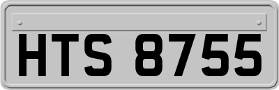 HTS8755