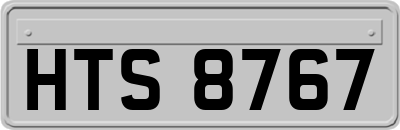 HTS8767