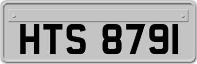 HTS8791