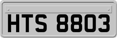 HTS8803