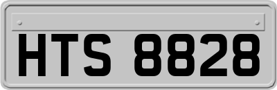 HTS8828