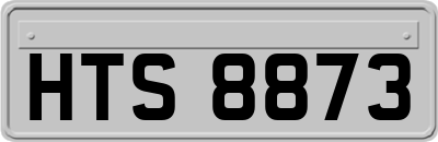 HTS8873