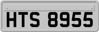 HTS8955