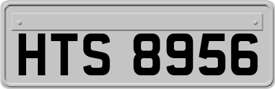 HTS8956