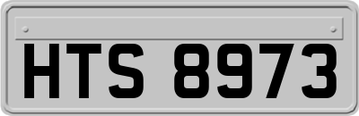HTS8973
