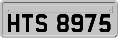 HTS8975