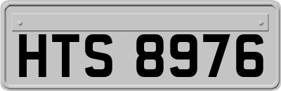 HTS8976