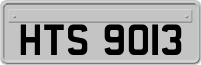HTS9013