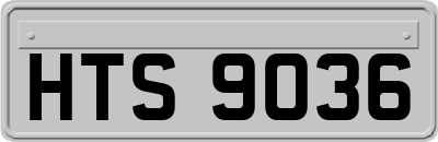 HTS9036