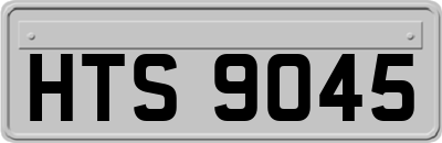 HTS9045