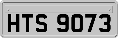 HTS9073