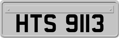 HTS9113