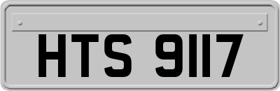 HTS9117