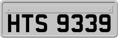 HTS9339
