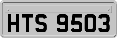 HTS9503