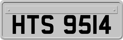 HTS9514