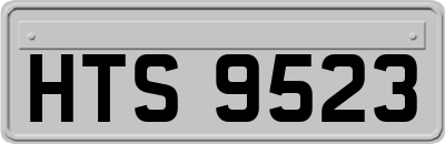 HTS9523