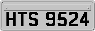 HTS9524