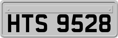 HTS9528