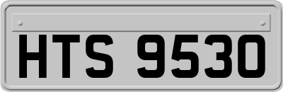 HTS9530