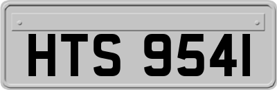 HTS9541